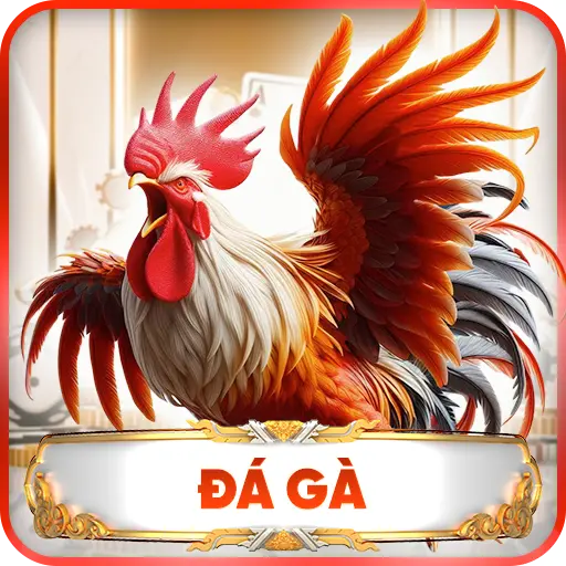 Đá Gà TR88 - Sân Chơi Kịch Tính Của Những Chiến Kê Đẳng Cấp